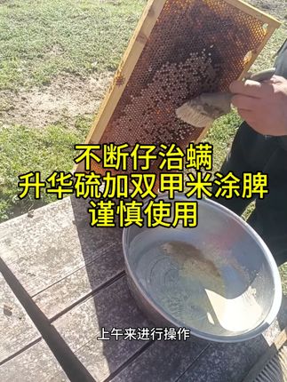 不断仔除螨方法,升华硫加双甲米溶液,涂脾封盖仔脾操作 #涂脾 #升华硫 #新手养蜂教学