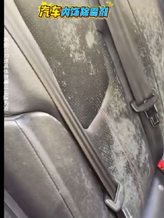 #汽车内饰除霉剂#车内皮革除霉剂#坐椅顶棚去霉斑霉点@巨量千川