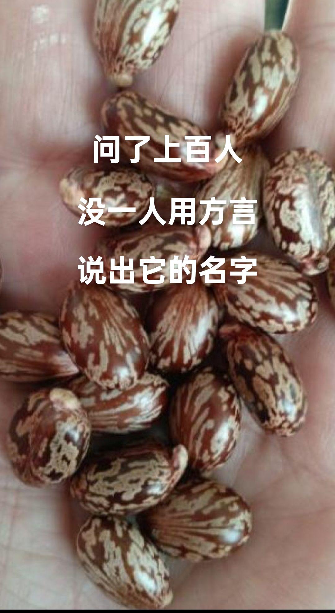 #原创作品 #每日分享 丰收的季节,现在很少见了