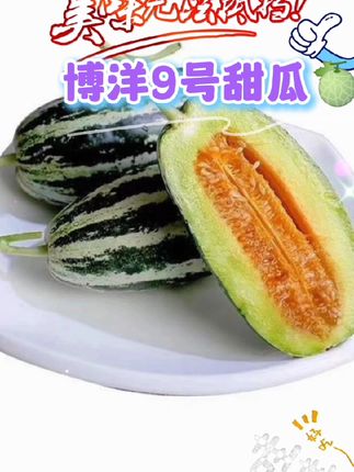 #博洋9号甜瓜 #农家种植,香甜脆头茬香瓜🍈 #爽口#多汁当季节水果