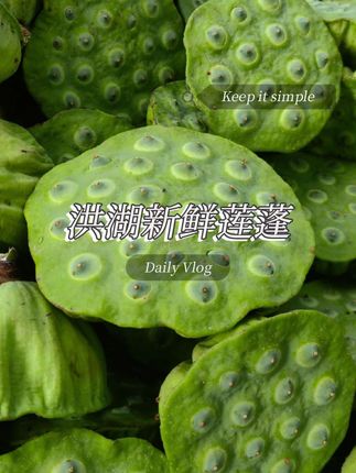 这个是洪湖新鲜嫩莲子,口感清甜,可以直接当零 食吃,还可以煲汤。 #新鲜采摘 #夏日必备 #莲蓬 #莲子优质农产品