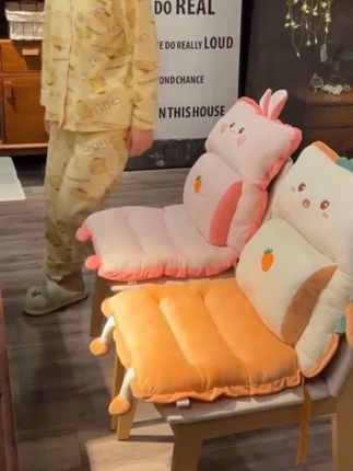 椅子坐垫护腰靠垫靠背一体座垫冬季办公室久坐屁垫学生宿舍椅子垫#坐垫 #腰靠垫 #靠背一体坐垫 #懒人沙发 #椅子垫 @DOU+小助手