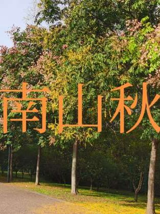 南山.南屏晚钟#天然氧吧 #感受大自然的魅力 #身边的风景 #镇江旅游