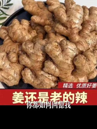 云南小黄姜新鲜生姜香辣十足老姜嫩姜云南姜0.5-9斤包邮坏果 #海带苗可以怎么吃 #美食制作分享 #强烈推荐 #医保缴费基数是多少