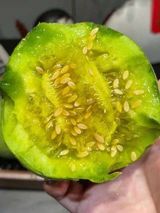 #脆甜多汁 #谁懂这一口的含金量 #绿宝石甜瓜 #应季水果 #快来一起尝个鲜