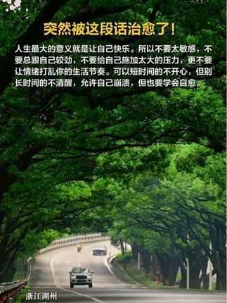总是想太多,如何让自己的内心安静下来?用这本书的内容就能帮到我们。#情绪管理 #停止精神内耗 #好书分享 #高敏感人群如何自救 #内耗
