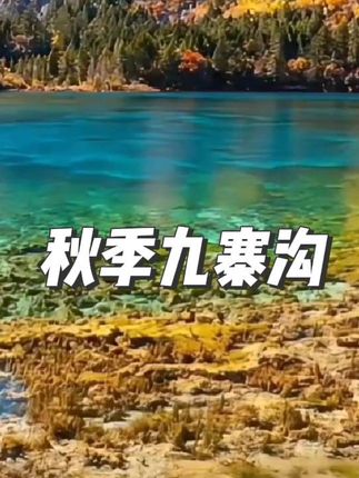 #人间仙境去 #国庆去哪儿最好玩 #九寨沟 #上热门 #旅游