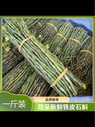 农户新鲜现采石斛鲜条500克新鲜铁皮石斛现采现发优势新鲜农产品#石斛 #石斛种植 #石斛做法 #农产品 #新鲜石斛