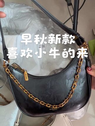 新款新款 四个色 三个肩带 大容量#胖猫儿潮流女包 #早秋新款 #hobo包 #流浪包包 #通勤包