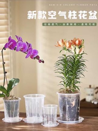 侬花村新款蝴蝶兰花盆控根盆透明青山盆文心兰盆透明塑料透气盆#爆款热卖中 #厂家直发