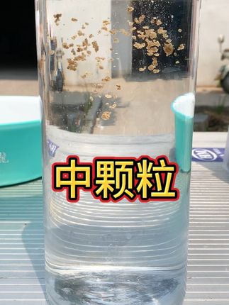 中颗粒#爆护饵料 #源头实力厂家 #状态手饵