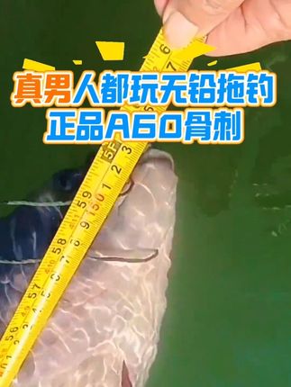 真男人都玩无铅拖钓!正品A60骨刺大物!黑坑标塘必备!