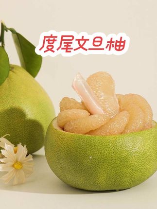度尾文旦柚果肉饱满,果香浓郁,汁水丰富,香甜细腻,清甜蜜香的口感,让人入口难忘! #柚子 #口感特别好 #好吃到停不下来 #超便宜超划算