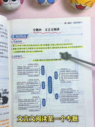 七升八的暑假,别报班,别贪多,就去吃透这套书,科科100+#七升八 #初一升初二 #新初二 #暑假衔接