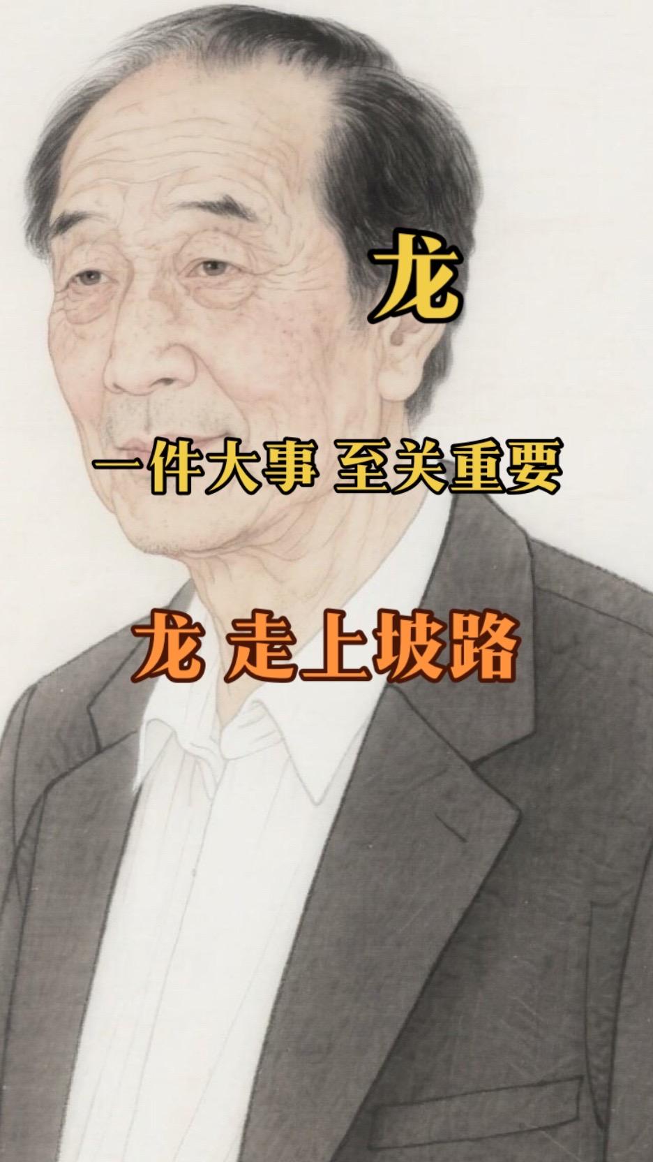 #1988年的龙#1976年的龙 #1964年的龙