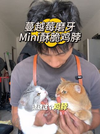 猫猫啊 就是不爱刷牙 铲屎官也麻烦,每天餐后一根磨牙清洁的鸡脖就恰到好处 省时省力#萌宠好物 #猫咪清洁牙齿 #猫咪磨牙棒