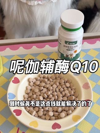 尽早补充辅酶Q10真的很重要~ #边牧椰椰#辅酶Q10 #宠物辅酶q10 #狗狗好物推荐 #宠物零食