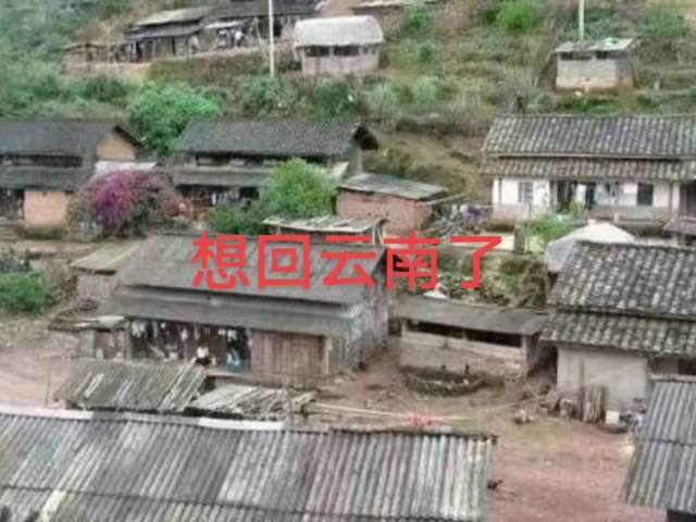 想回家了#我的乡村生活 #从小长大的地方