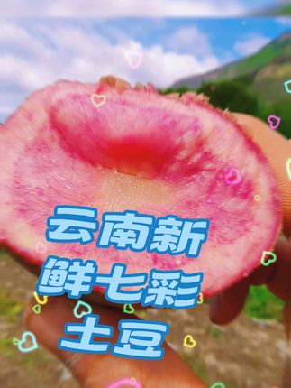 云南大理新鲜七彩土豆现挖现发#源头好货 #优质农产品