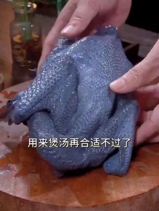 泰和乌鸡正宗林下散养土鸡原种白凤乌鸡新鲜顺丰