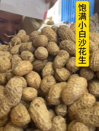 要是把它们水煮一下,那味道更是绝了,口感软糯,香气四溢,让人吃了就停不下来。不管是当作日常的小零食,还是家人朋友聚会时的小吃,都非常合适。宝子们别犹豫啦,赶紧下单尝尝吧💕! #农家自种 #罗汉果花生 #新鲜带壳花生