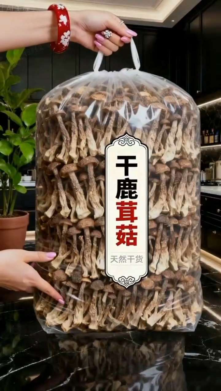 囤货闭眼冲!这袋鹿茸菇干货没入真的会悔到。囤货闭眼冲!这袋鹿茸菇干货没入真的会悔到拍大腿 囤货清单C位必须给这袋鹿茸菇干货!没入手的宝子,真的会悔到拍大腿! 它是老手艺慢晒的精品,牢牢锁住鹿茸菇的原生鲜香,泡发后脆嫩带弹劲,一口咬下鲜味在舌尖迸发,满是食材本真的纯粹滋味。 拌米饭能让人多干两碗;炒菜、炖鸡汤都快手,就算厨房小白,用它也能轻松做出香到邻居追着问配方的下饭菜! #鹿茸菇干货 #囤货指南 #菌菇吃法 #舌尖诱惑 #优质农产品