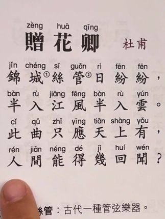 《赠花卿》 7岁儿子粤语朗读唐诗#赠花卿 #杜甫 #唐诗三百首 #古诗词 #粤语