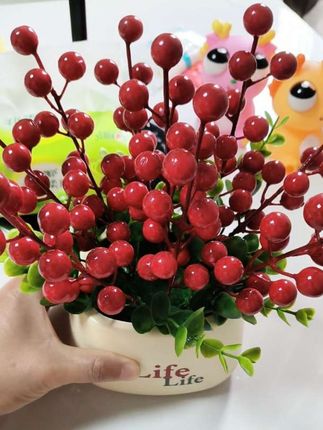 俺也不知道他真名叫啥,就叫他小红果,收到以后喜欢到住了。谁能理解拥有它的幸福感,关键是几块钱就到手了,太惊艳了,心里美滋滋的。愿今后的生活诸事皆顺,生活过得红红火火#发财果 #摆件