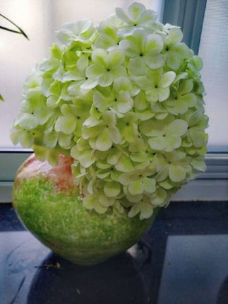 暖光花影||景德镇新中式简约桌面高端陶瓷花瓶大号花景德镇瓷花