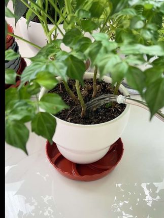#爱生活爱养花 #花盆透气托盘 #居家好物