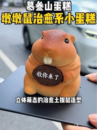100多收获一只超可爱的墩墩鼠也太可爱了吧好治愈!!#慕叁山 #慕叁山蛋糕 #慕叁山生日蛋糕 #慕叁山定格珍贵瞬间