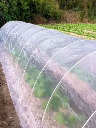 家里想种瓜果蔬菜的,用这款新型拱棚小支架,弹性极强,不腐蚀,不老化,玻璃纤维材质,能循环使用。#拱棚支架 #农业大棚 #蔬菜大棚 #小拱棚搭建方法