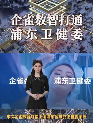 上海浦东卫健委系统对接内容封面