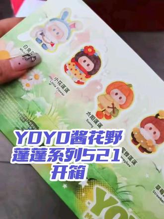 521的开盒虽迟但到 YOYO酱第四代花野蓬蓬系列,很可爱的搪胶挂件!🌸#我的盲盒分享 #yoyo酱 #YOYO酱花野蓬蓬