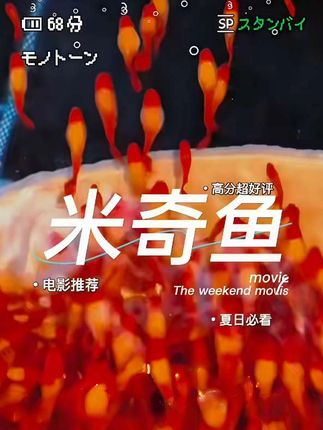 精品胎生米奇鱼#鱼缸 #鱼缸里的大自然 #养鱼日记 #养鱼养心 #观赏鱼