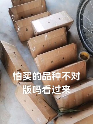 #养花日常 工作日常发货发货每天都在发货。怕不对版的看过来。