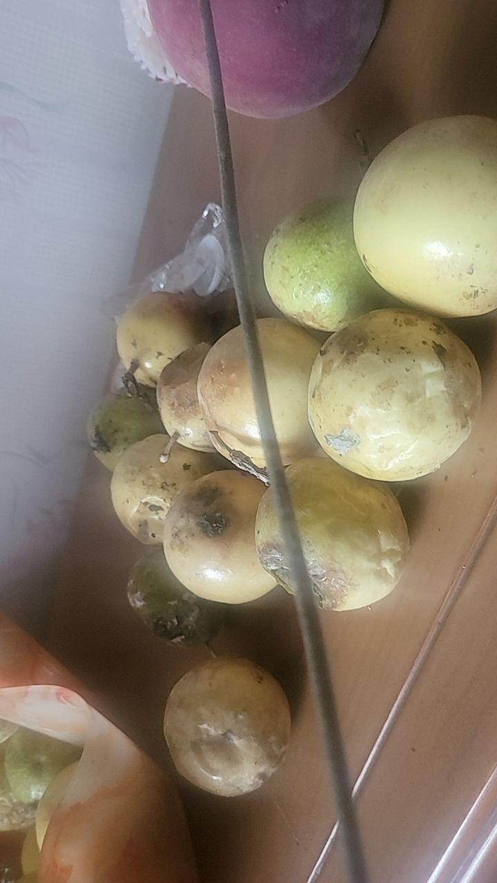 一多半烂了,在网上再也不买水果#我在抖音买买买