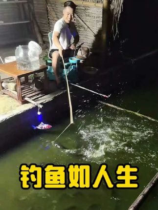 钓鱼就像人生,太急线会断,太贪钩会脱。最好的收获往往不是拼尽全力,而是懂得何时收,何时放!#钓鱼如人生的哲理