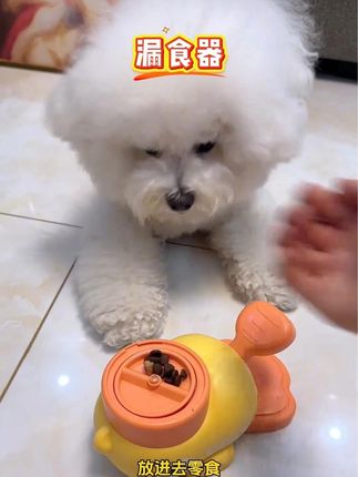 #漏食器 #宠物漏食器 #宠物玩具