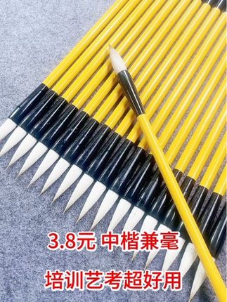 推荐艺考培训机构,3.8元中楷兼毫,性价比超高,支持试用。#毛笔 #培训机构 #中楷兼毫毛笔 #楷书