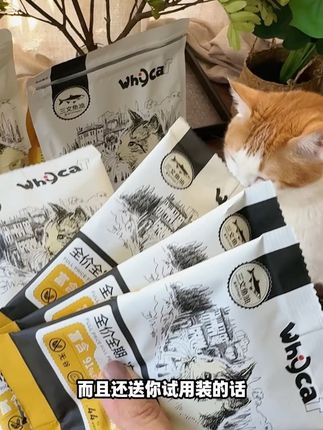 养猫猫不需要很多票票,有很多的爱也行#猫粮 #养猫新手 #宠物食品 #喂猫 #猫猫的铲屎官
