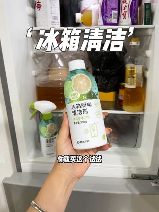 2025年了到底谁还在以为用水就能擦干净啊#网易严选 #冰箱清洁剂