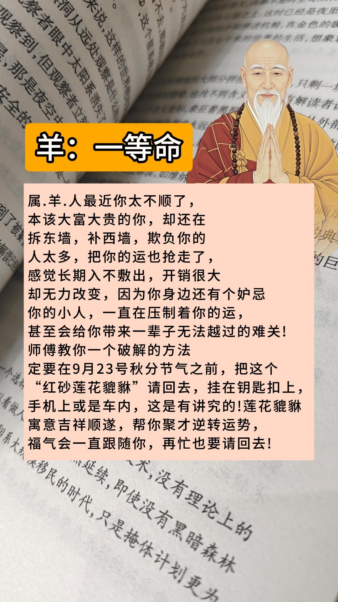 #1979年的羊 #1967年的羊 #1991年的羊