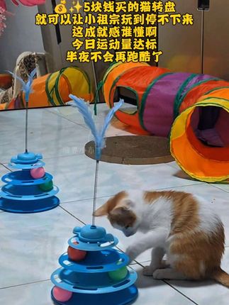 ✨5块钱买的猫转盘,就可以让毛孩子玩到停不下来,这成就感谁懂啊!!#猫咪玩具 #玩具 #逗猫神器 #萌宠好物 #玩具推荐 毛孩子的快乐真的很简单!