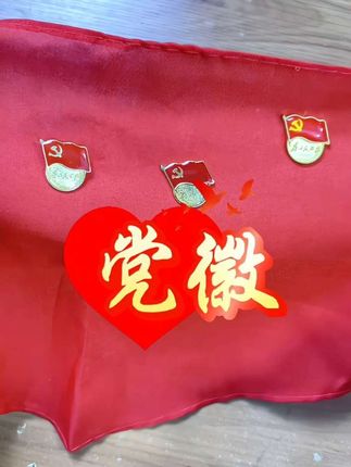 #上热门 #党徽#党员徽章#国庆#祝福祖国 #祝福祖国生日快乐