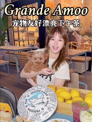Grande Amoo可以带小狗啦!#上海宠物友好 #GrandeAmoo #Amoo #下午茶