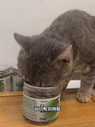 猫咪超爱的猫薄荷饼干,大家赶紧给家里猪咪也尝尝吧!#萌宠好物 #新手养猫 #猫咪零食 #俘获猫薄荷饼干