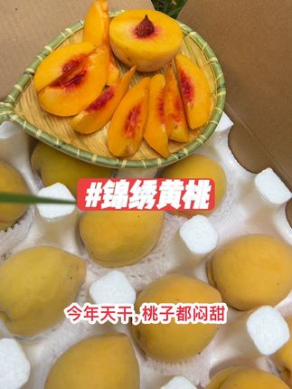 #湖北广水土特产 #锦绣黄桃 #纯甜黄桃 #桃子熟了 #新鲜采摘