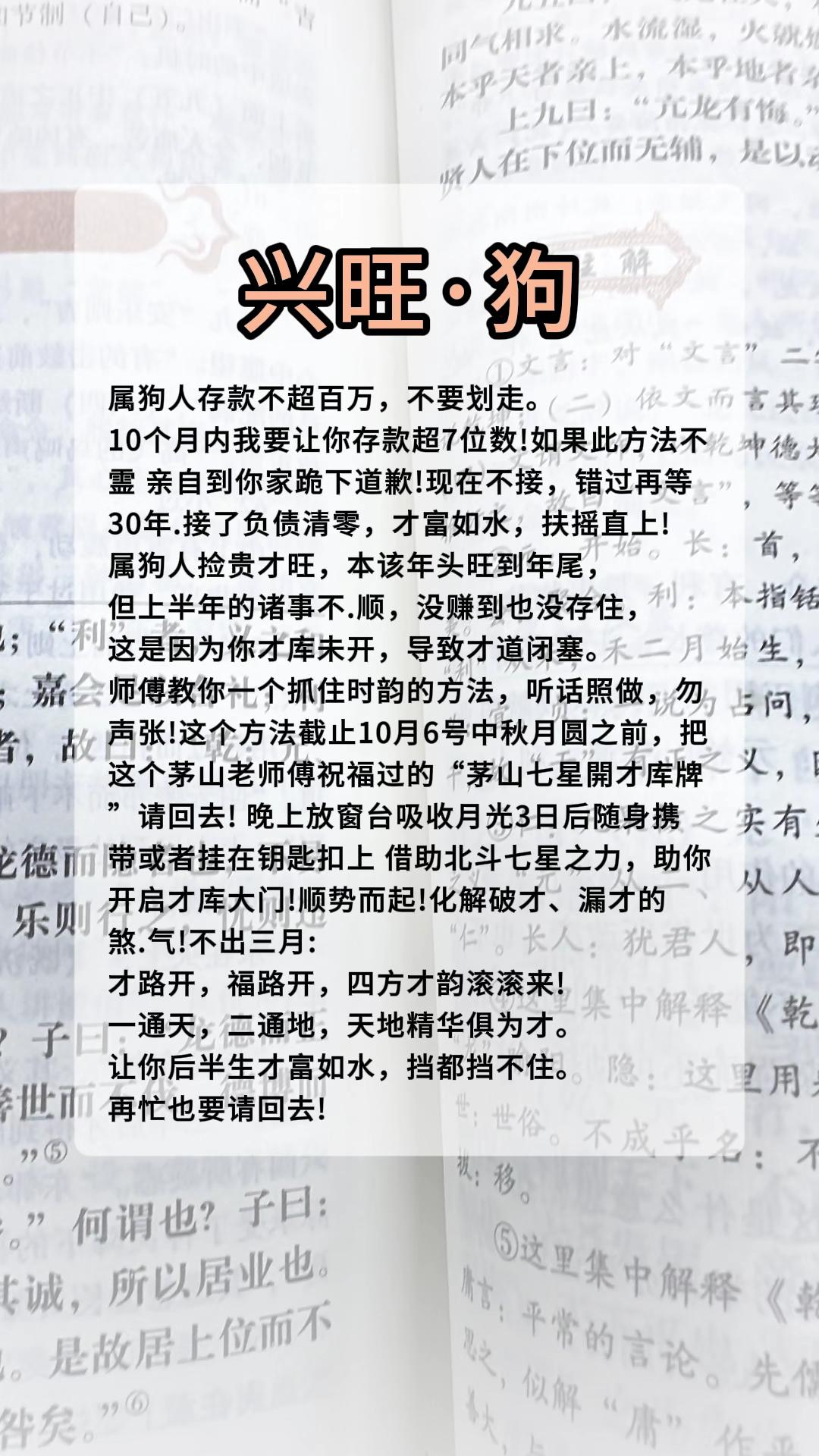#1970年的狗 #1982年的狗 #1994年的狗