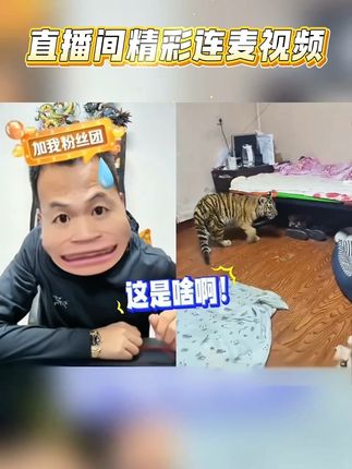 全新升级配方增肌壮骨犬粮,真正的好吃不贵经济实惠,适合各类中大型犬类食用的狗粮。#养狗经验分享 #抖音宠物 #狗粮推荐 #狗粮 #狗狗